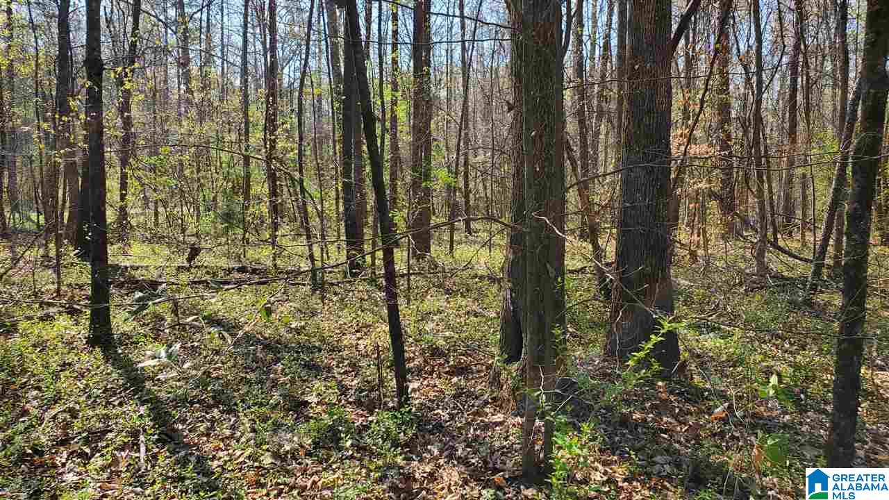 4356 Richeytown Road, Unit 1 Oxford, AL 36203 - Photo 5 of 10