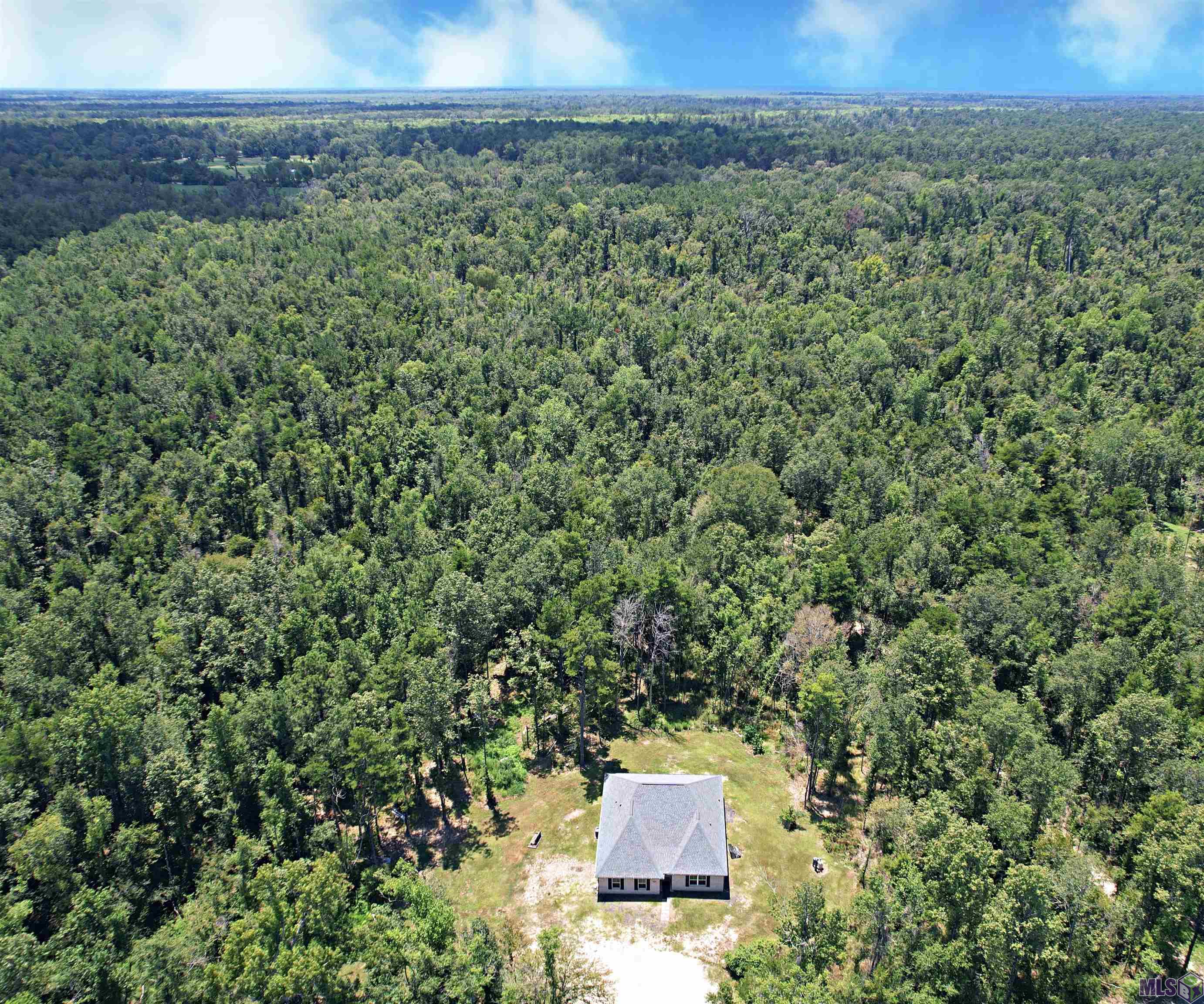 20060 Gum Swamp Road Livingston, LA 70754 - Photo 23 of 24 Gallery Image 23