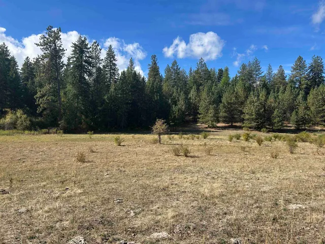 $239,000 | 47161.0305 North Northwood Drive, Colbert, WA 99005