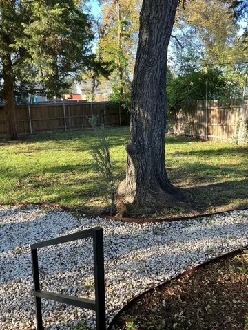 a view of a yard with a tree in a yard
