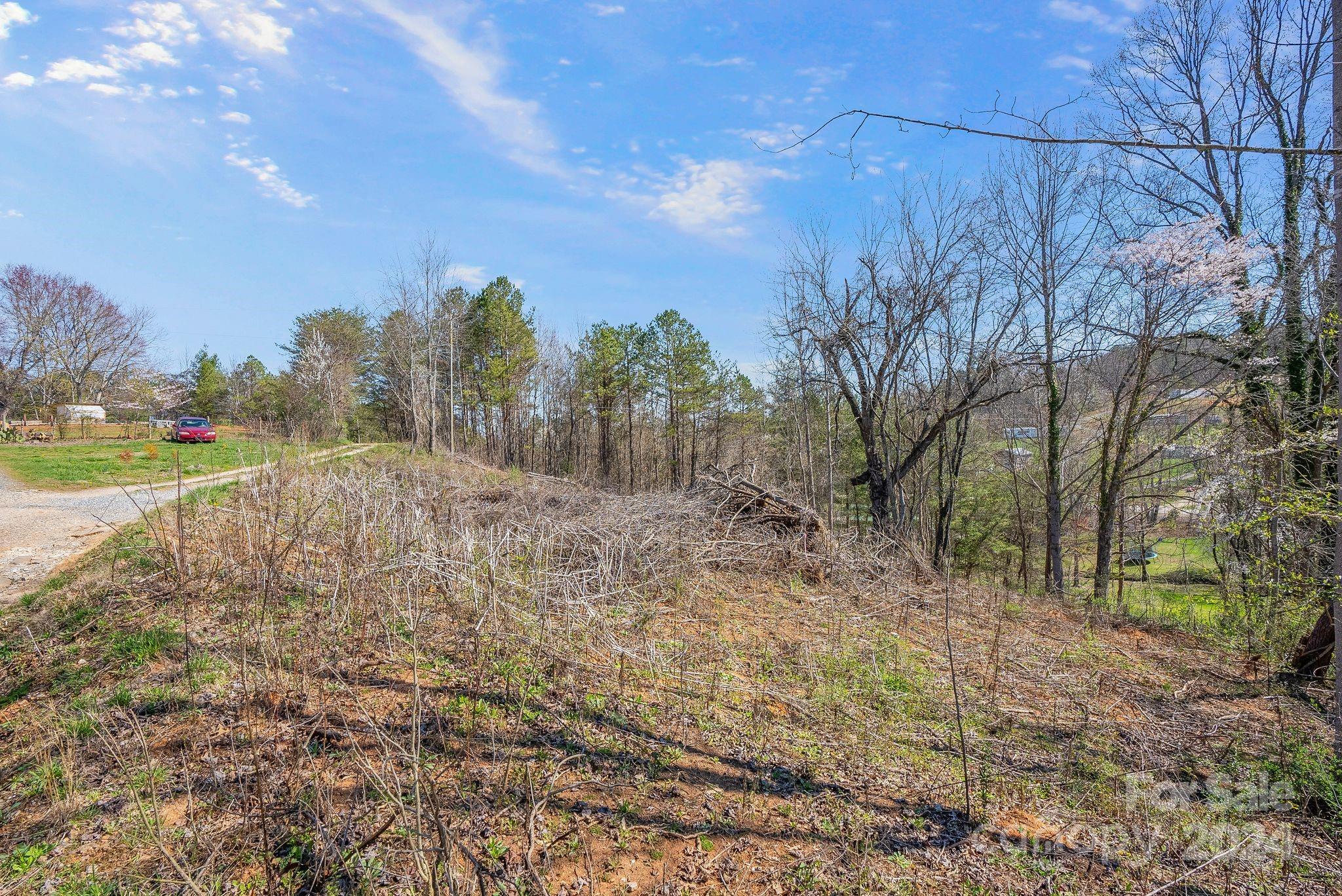 99999 Ruff Road Leicester, NC 28748 - Photo 5 of 7 a view of a yard with an trees