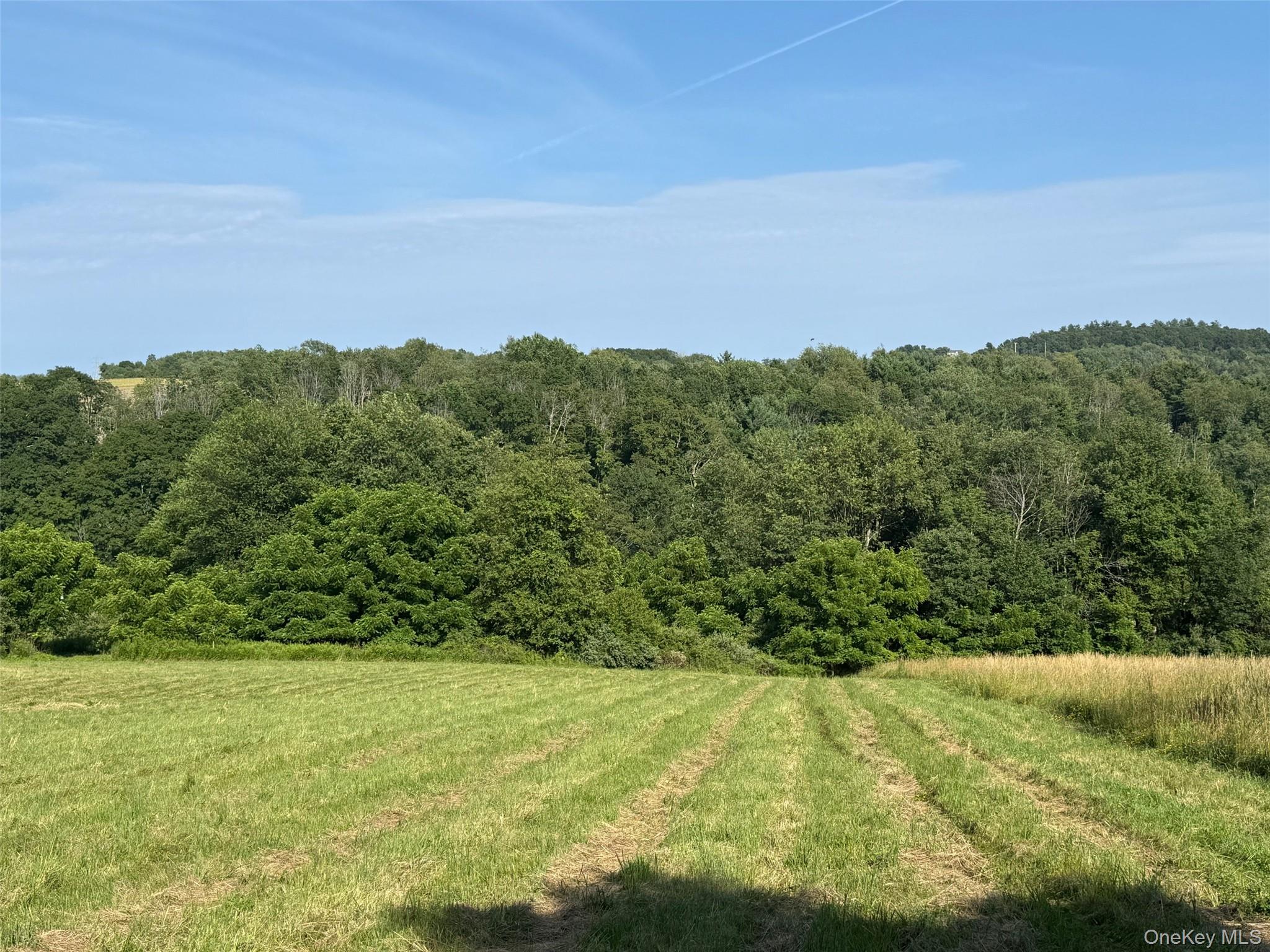Smithfield Road Millerton, NY 12546 - Photo 8 of 10 View of woods