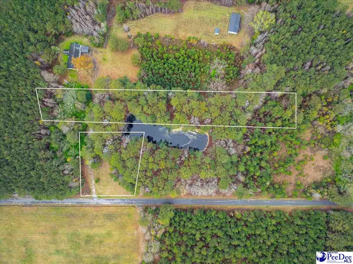 Tbd Ballpark Road Effingham, SC 29541 - Photo 2 of 7 Gallery Image 2