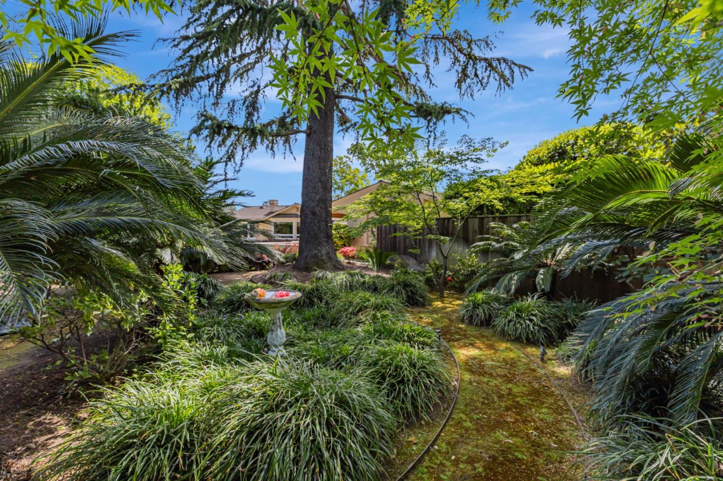 3231 Fieldcrest Drive Sacramento, CA 95821 - Photo 72 of 95 a view of a garden