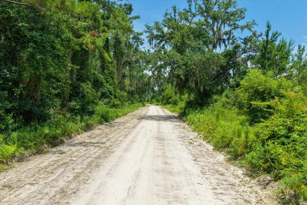 $50,000 | Vacant Northeast Bayberry Street, Madison, FL 32340