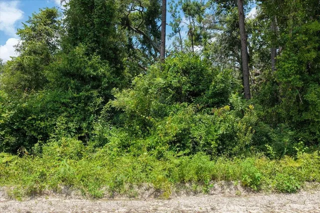 $59,900 | Vacant Northeast Bayberry Street, Madison, FL 32340