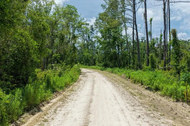 $59,900 | Vacant Northeast Bayberry Street, Madison, FL 32340