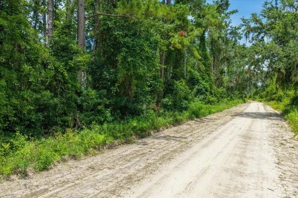 $59,900 | Vacant Northeast Bayberry Street, Madison, FL 32340