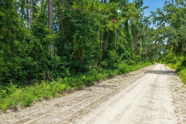 $59,900 | Vacant Northeast Bayberry Street, Madison, FL 32340