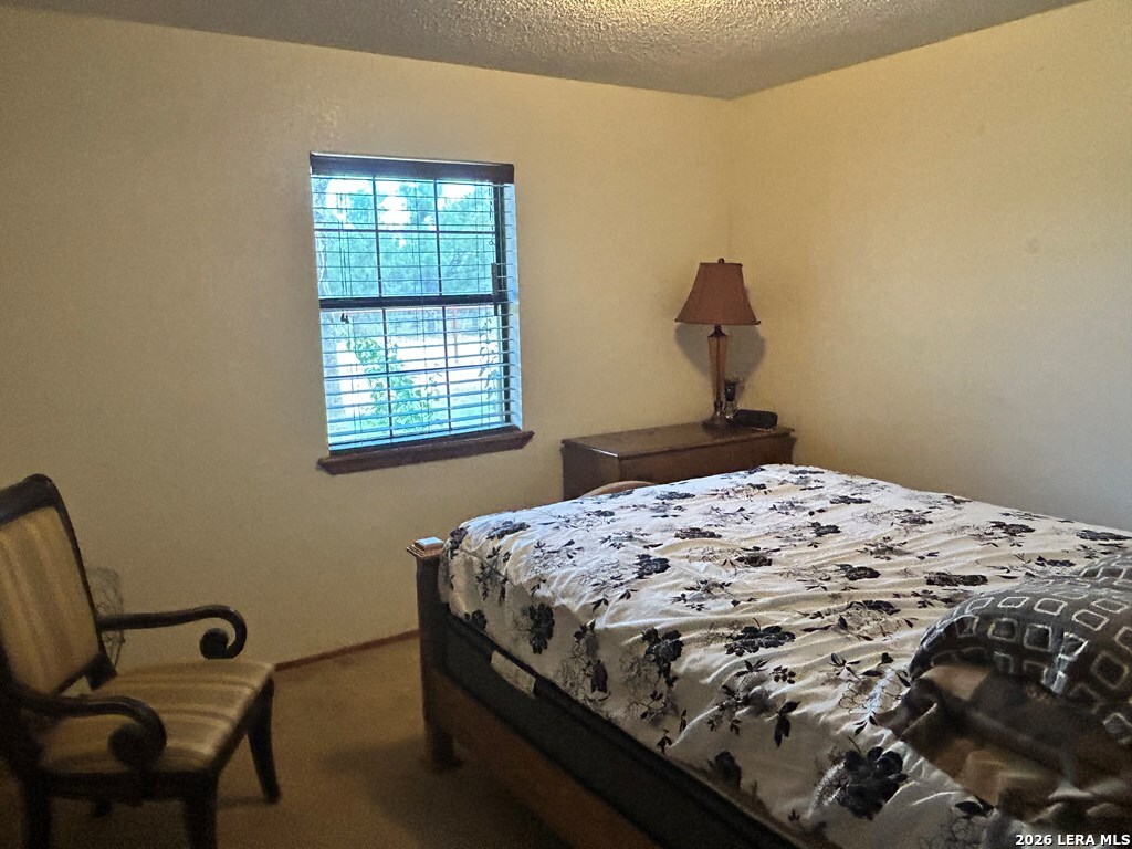 794 Duncan Street Crystal City, TX 78839 - Photo 23 of 38