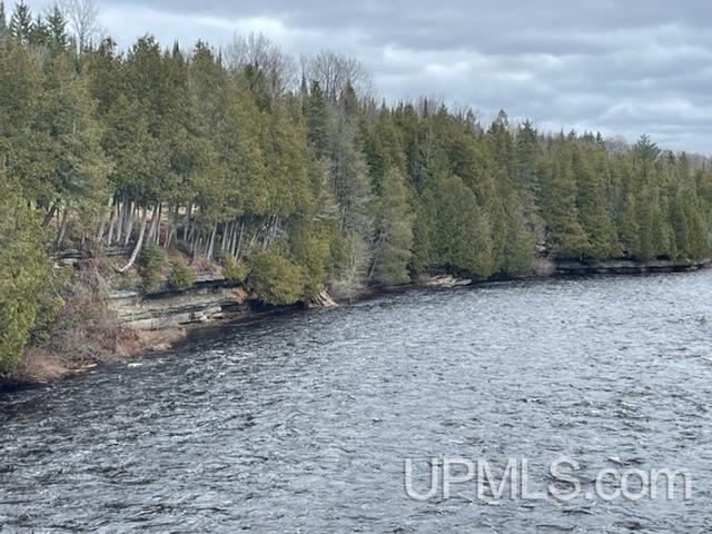 29960 Co Road Cornell, MI 49818 - Photo 26 of 27