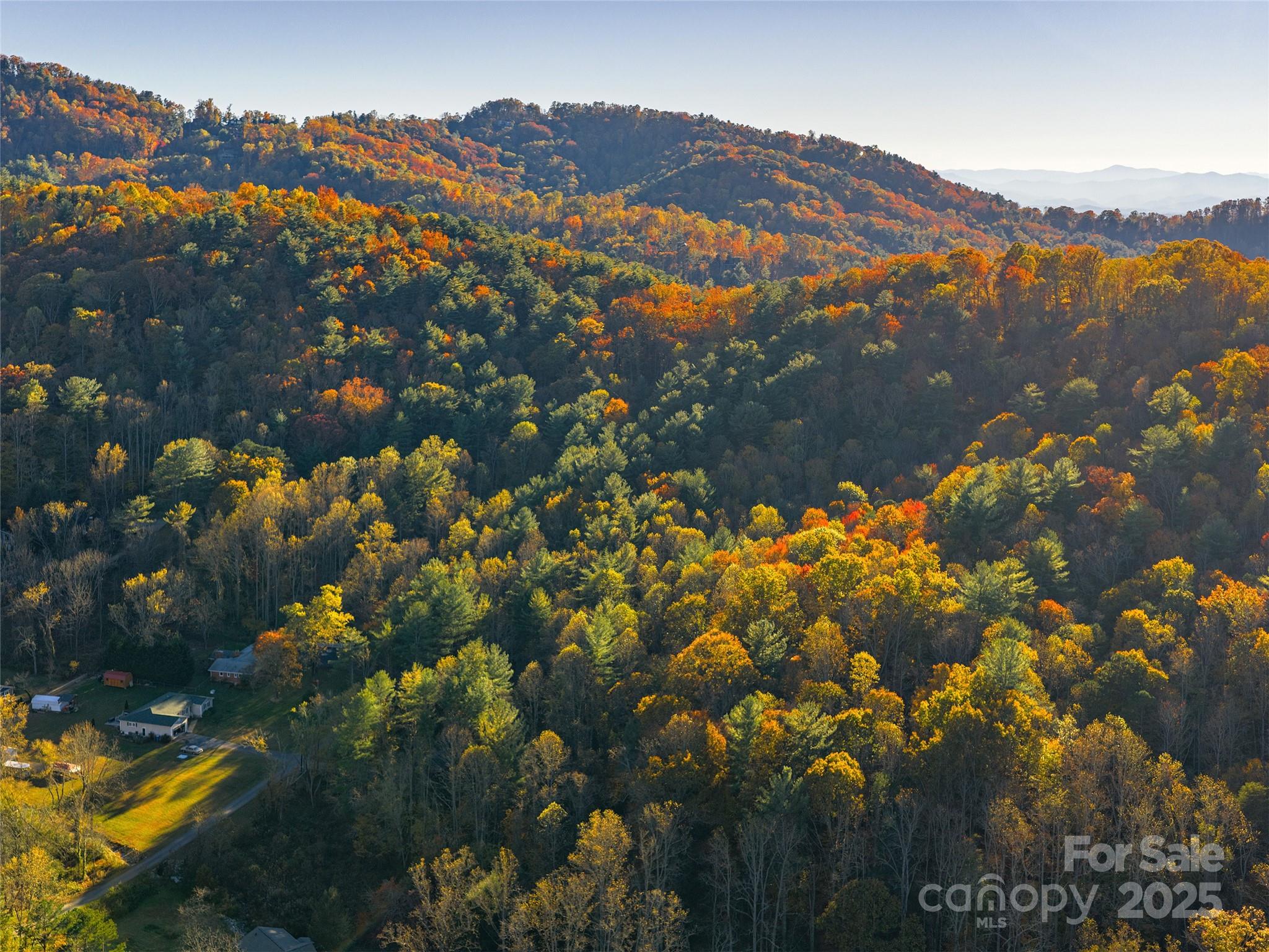 51 Rice Branch Road Asheville, NC 28804 - Photo 3 of 8