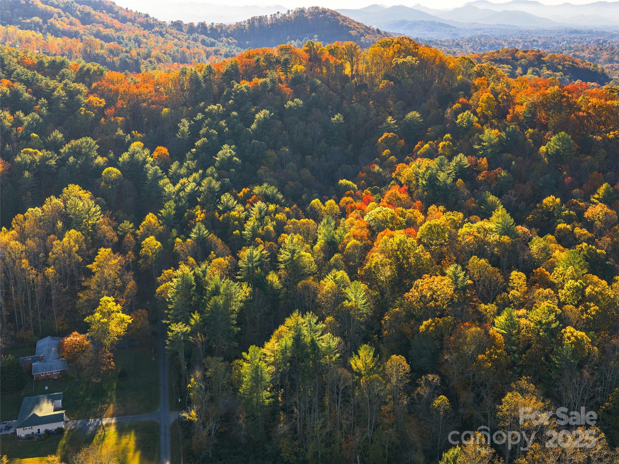 51 Rice Branch Road Asheville, NC 28804 - Photo 4 of 8