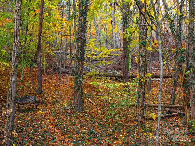 $1,500,000 | 51 Rice Branch Road, Asheville, NC 28804