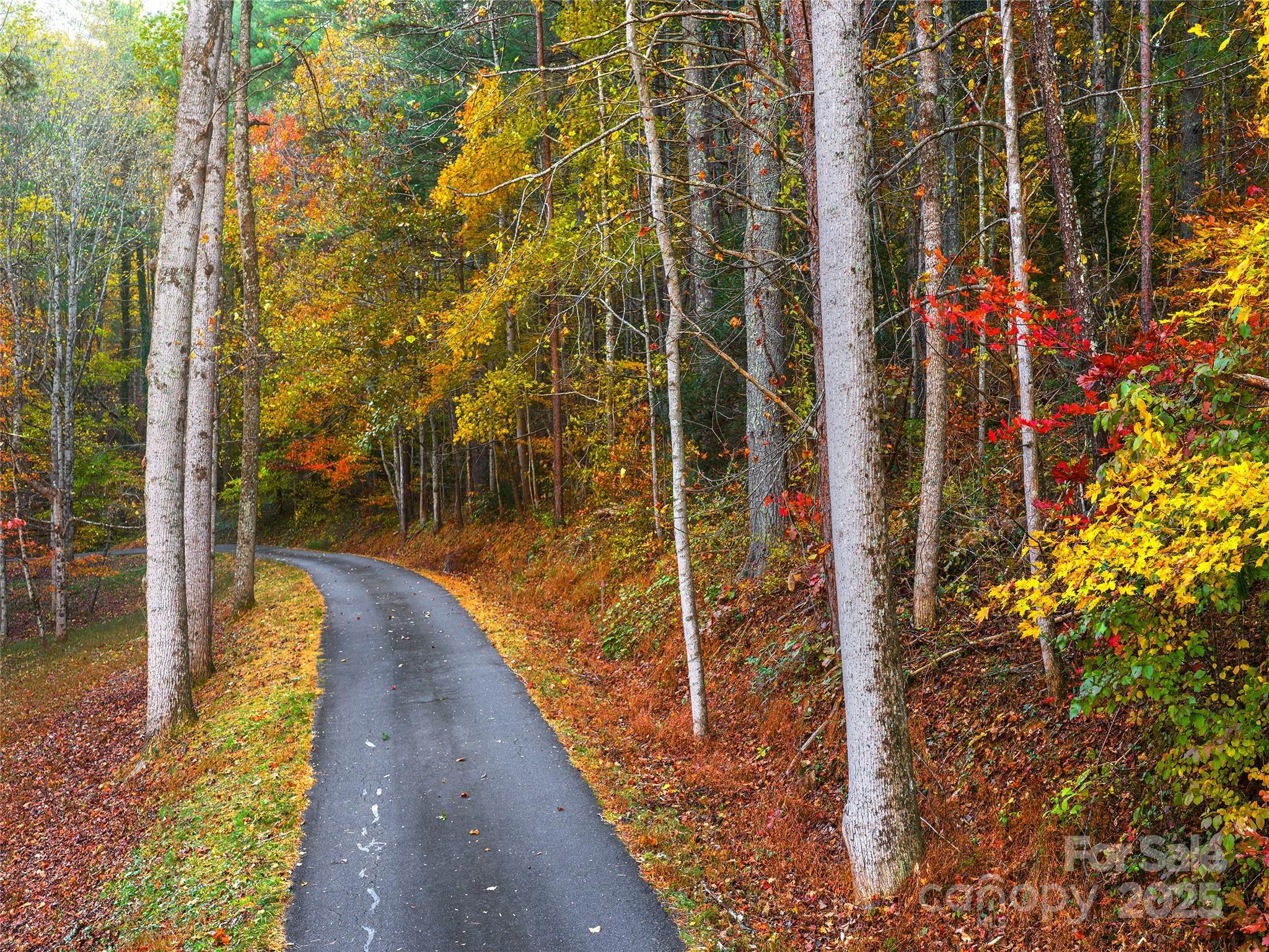51 Rice Branch Road Asheville, NC 28804 - Photo 7 of 8 a view of balcony