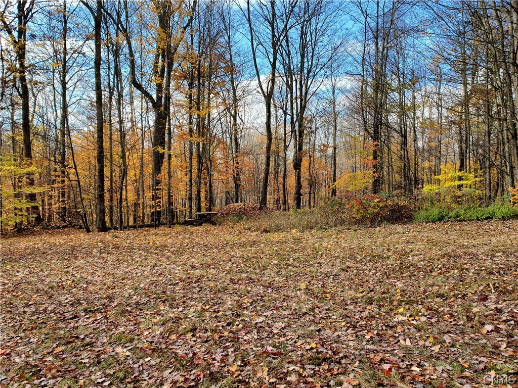 0 Johnson Road De Ruyter, NY 13052 - Photo 7 of 18 Gallery Image 7