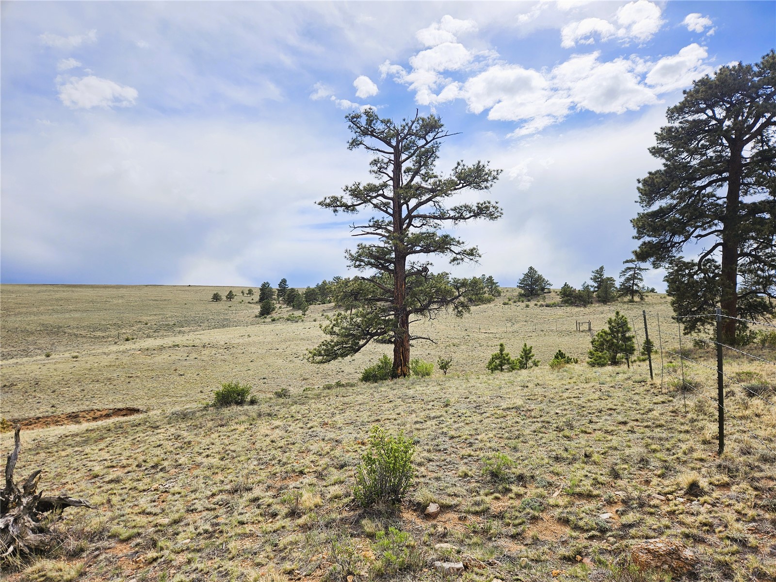 Pcs#24131 Chato Road Hartsel, CO 80449 - Photo 4 of 28
