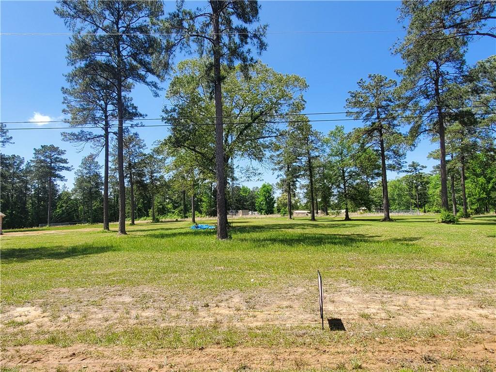 0 Graystone Road Dry Prong, LA 71423 - Photo 1 of 3 Gallery Image 1