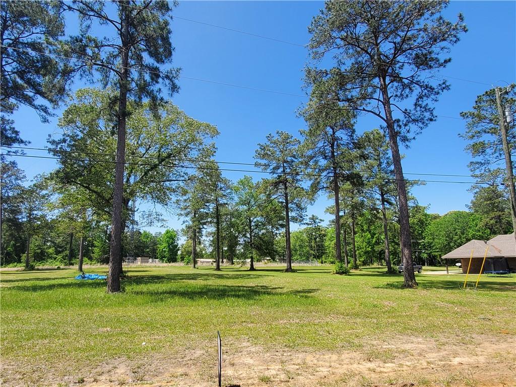 0 Graystone Road Dry Prong, LA 71423 - Photo 2 of 3 Gallery Image 2