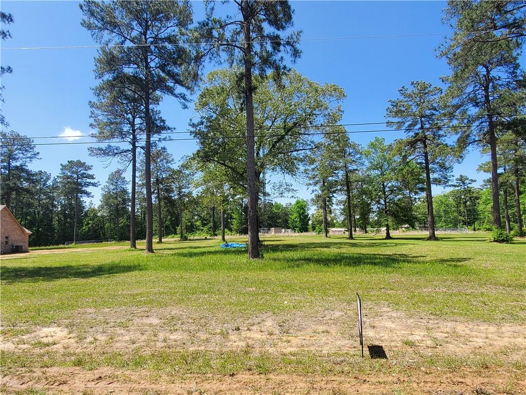 0 Graystone Road Dry Prong, LA 71423 - Photo 3 of 3 Gallery Image 3