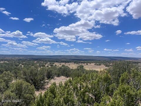 41 Indian Drive Concho, AZ 85924 - Photo 22 of 26 IMG_3688