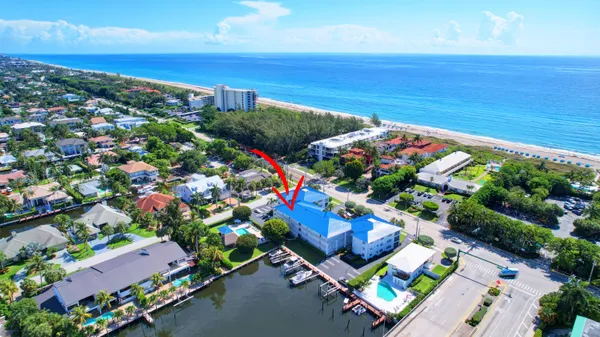 a view of a backyard with plants and a fountain