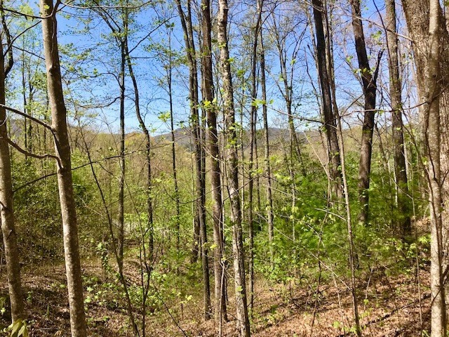 5056 Long Rifle Road Walland, TN 37886 - Photo 5 of 23 Gallery Image 5