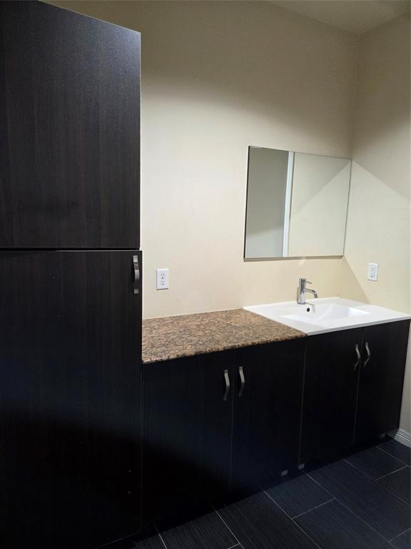 1100 West Trinity Mills Road, Unit 2014 Carrollton, TX 75006 - Photo 10 of 13 a bathroom with a sink and mirror