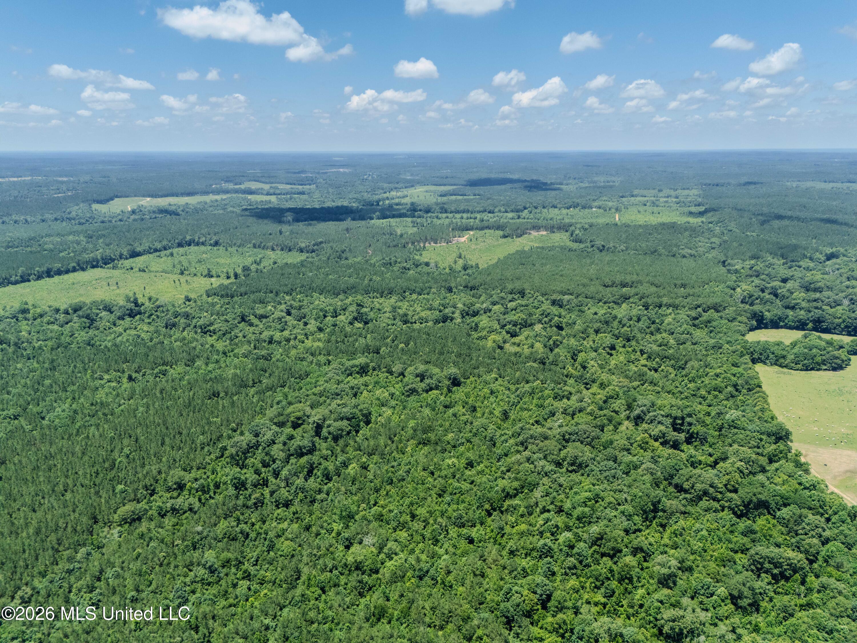 23 Co Road Bay Springs, MS 39422 - Photo 41 of 64 DJI_20260611122028_0003_D