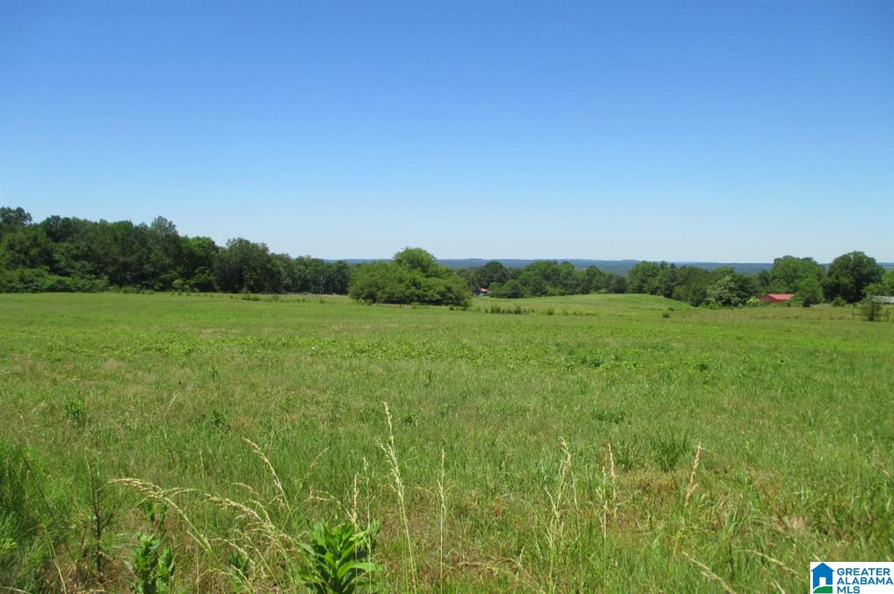 0 Washburn Drive Oneonta, AL 35121 - Photo 3 of 8