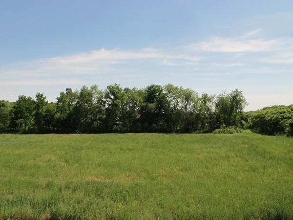1 Juggler Meadow Road Leverett, MA 01054 - Photo 19 of 23 a view of a field with trees in the background