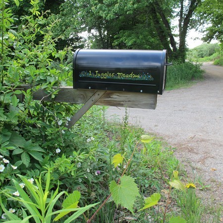 1 Juggler Meadow Road Leverett, MA 01054 - Photo 23 of 23 a wooden bench sitting in the middle of a forest