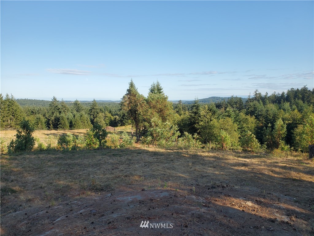 598 Sandwith Road Friday Harbor, WA 98250 - Photo 34 of 39 Gallery Image 34
