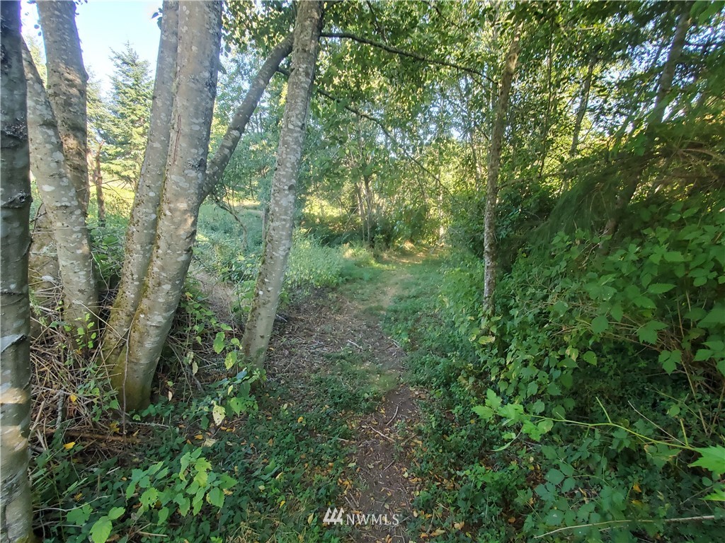 598 Sandwith Road Friday Harbor, WA 98250 - Photo 35 of 39 Gallery Image 35
