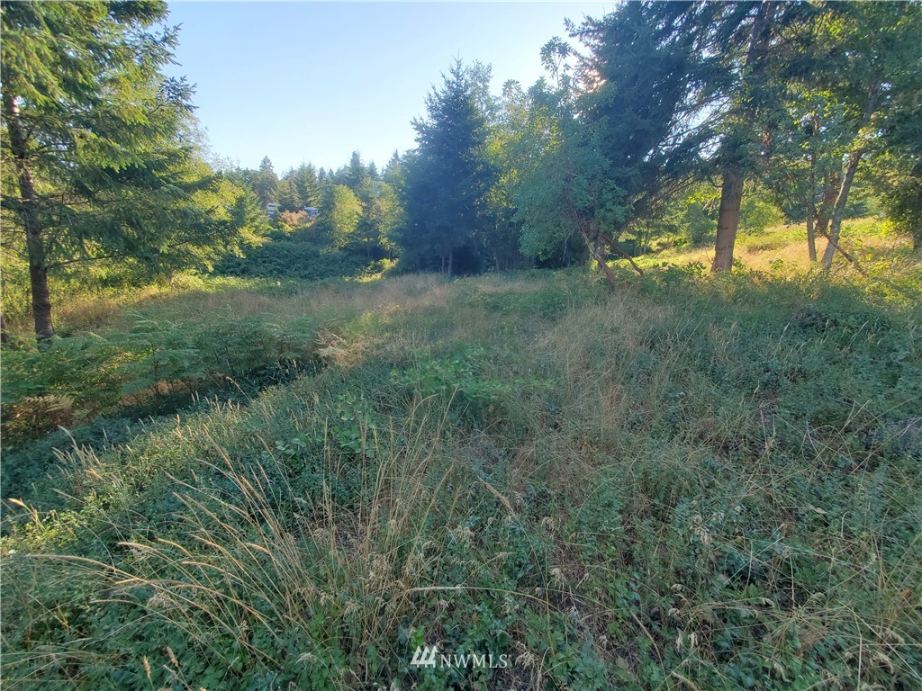 598 Sandwith Road Friday Harbor, WA 98250 - Photo 38 of 39 Gallery Image 38