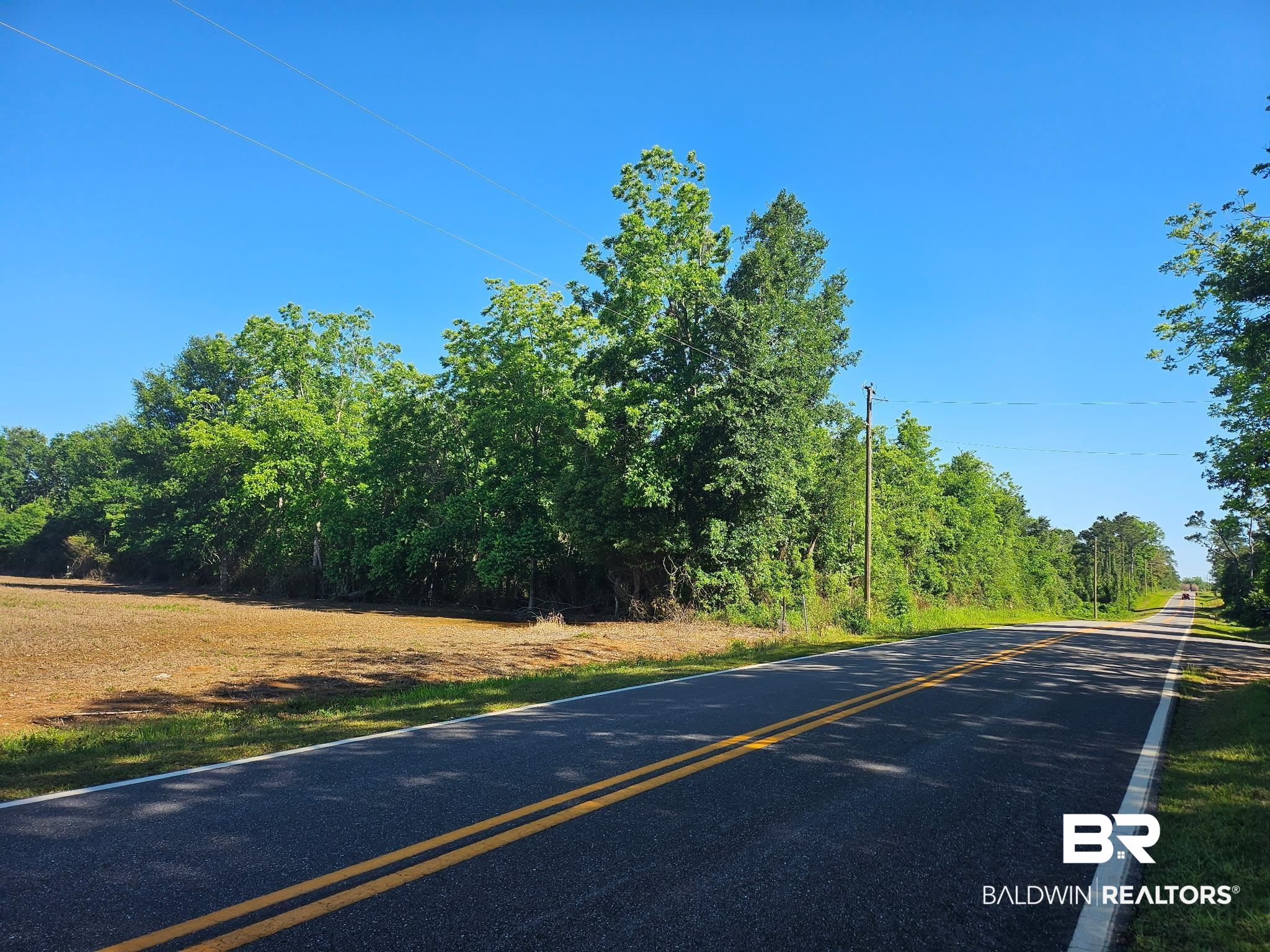 Lipscomb Road Foley, AL 36535 - Photo 7 of 12 View of asphalt street