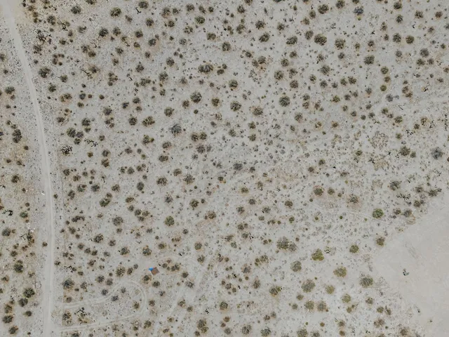 a bathroom with a toilet