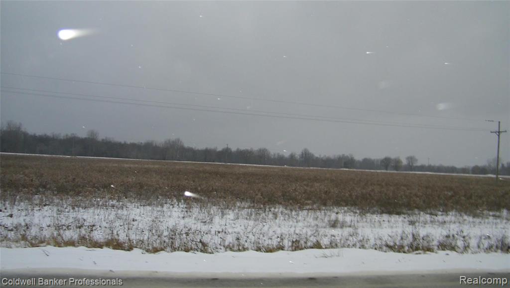 Parcel D Lake Pleasant Road North Branch, MI 48461 - Photo 3 of 4 Gallery Image 3