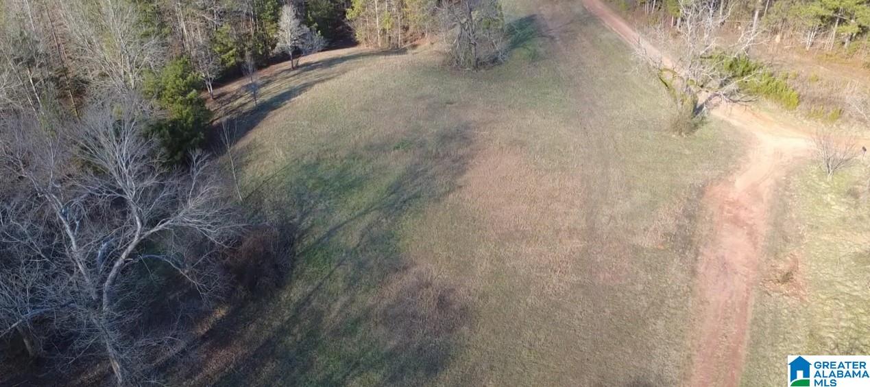 773 County Road 949, Unit 1 Fruithurst, AL 36262 - Photo 6 of 10
