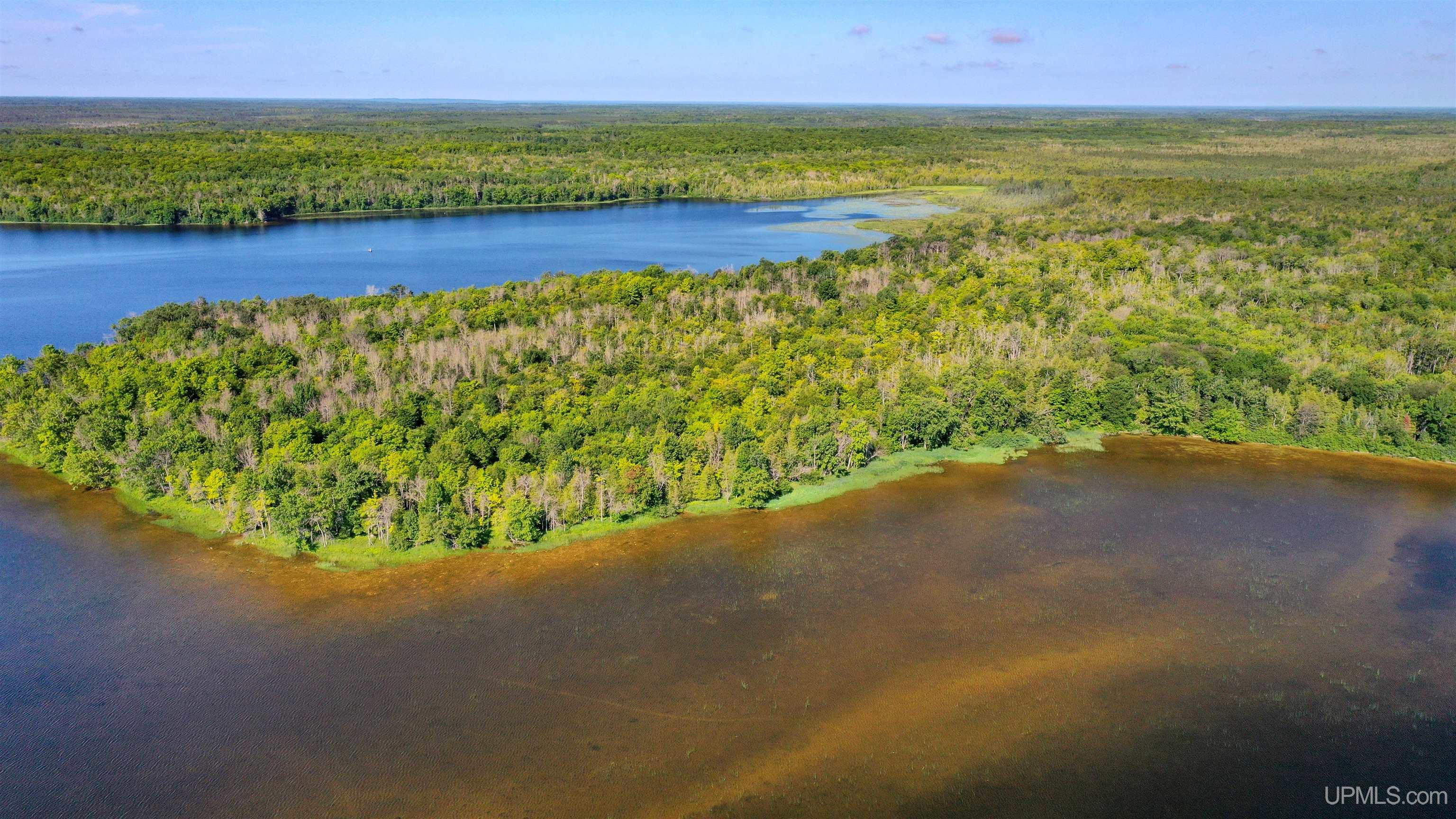 Tbd Neazor Point Road South Germfask, MI 49836 - Photo 19 of 27 Gallery Image 19