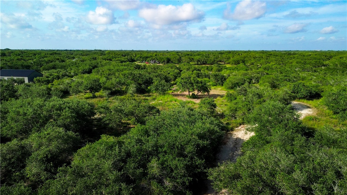 1508 Rhodes Avenue Aransas Pass, TX 78336 - Photo 15 of 30