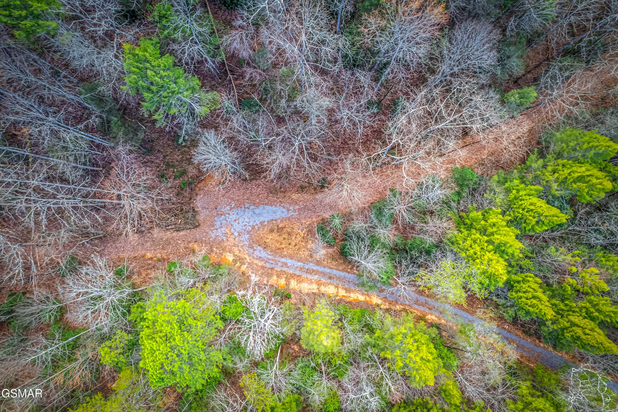 0 Boogertown Road Sevierville, TN 37876 - Photo 10 of 19 Gallery Image 10