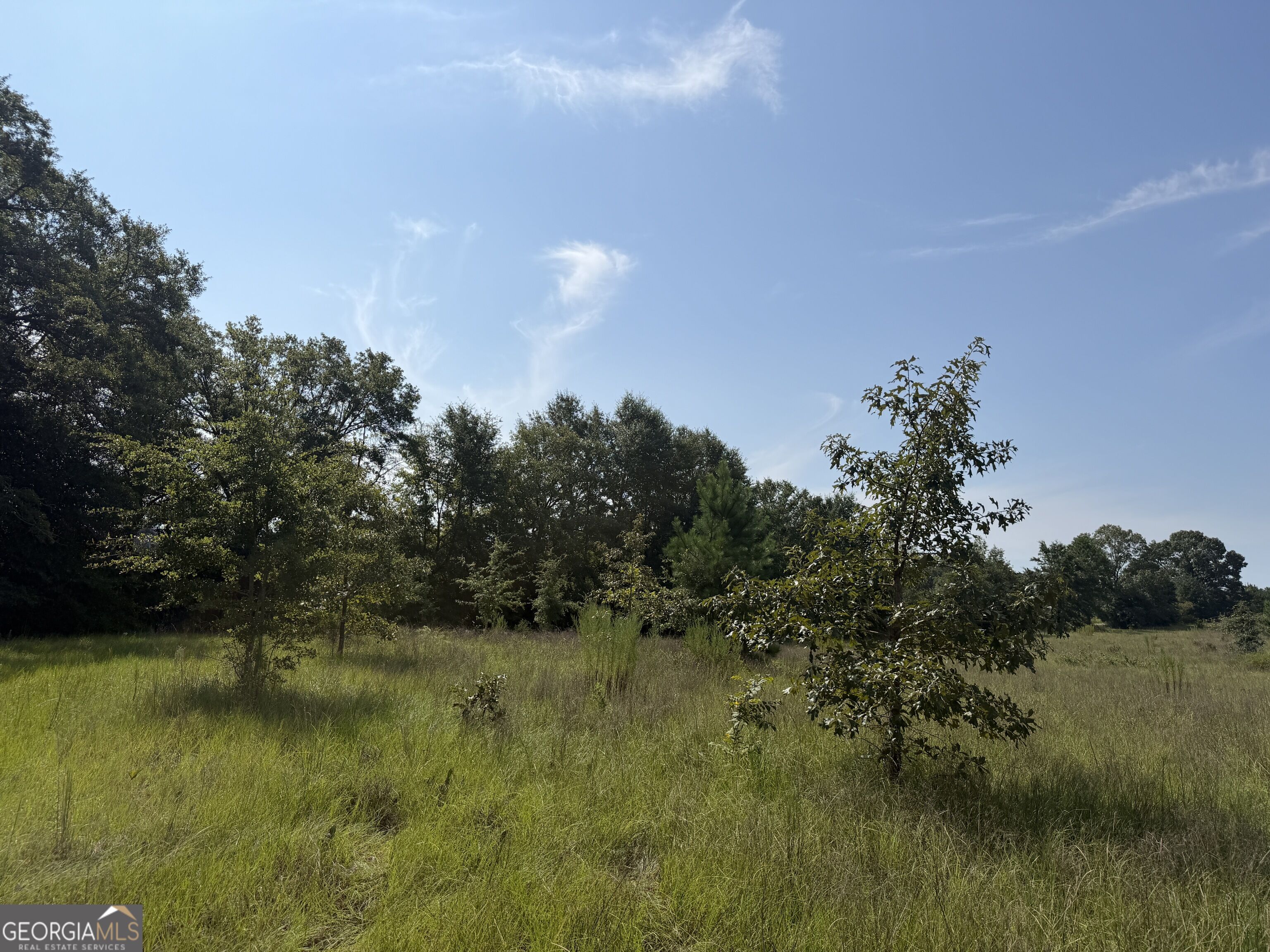5 Long Branch Road Toomsboro, GA 31090 - Photo 15 of 15 Gallery Image 15