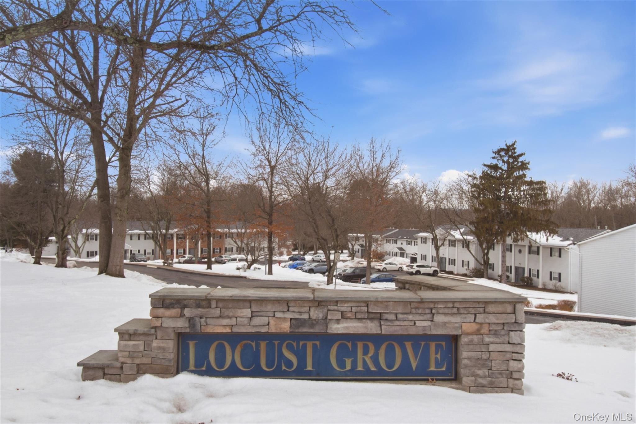 8 Ivy Court, Unit B Fishkill, NY 12524 - Photo 1 of 21 a view of street with snow on both side
