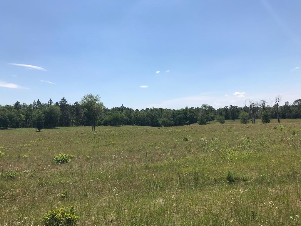 23.22-acre Shaws Fork Road Aiken, SC 29803 - Photo 2 of 3