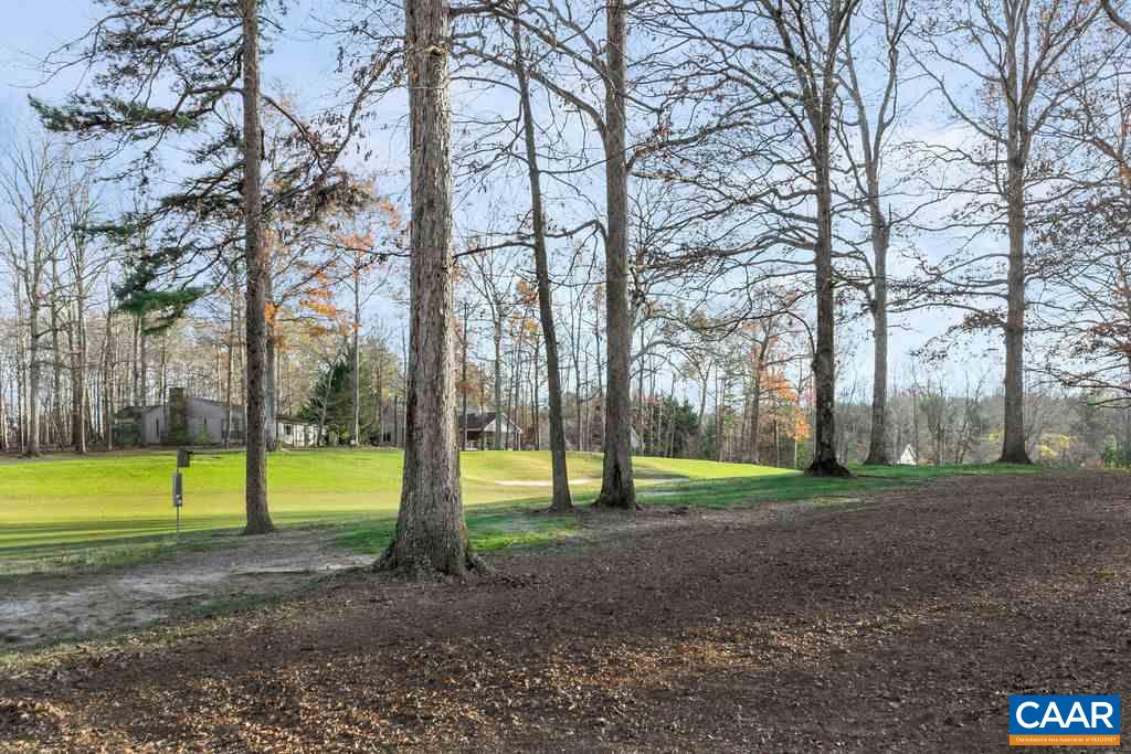 9 Out Of Bounds Road Palmyra, VA 22963 - Photo 36 of 37 a view of park with large trees