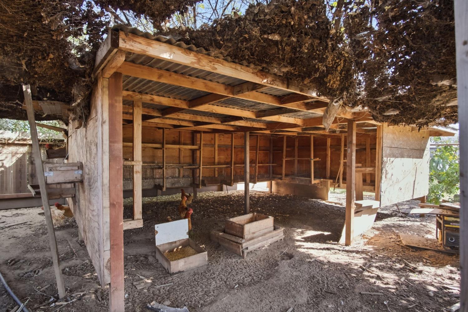 1409 Stonum Road Modesto, CA 95351 - Photo 33 of 40 a view of a backyard with wooden fence
