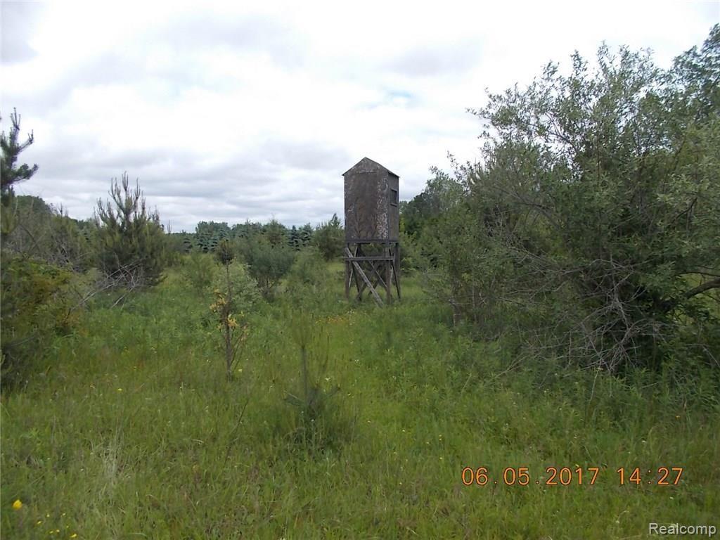 3233 Phillips Road Kingston, MI 48741 - Photo 7 of 9