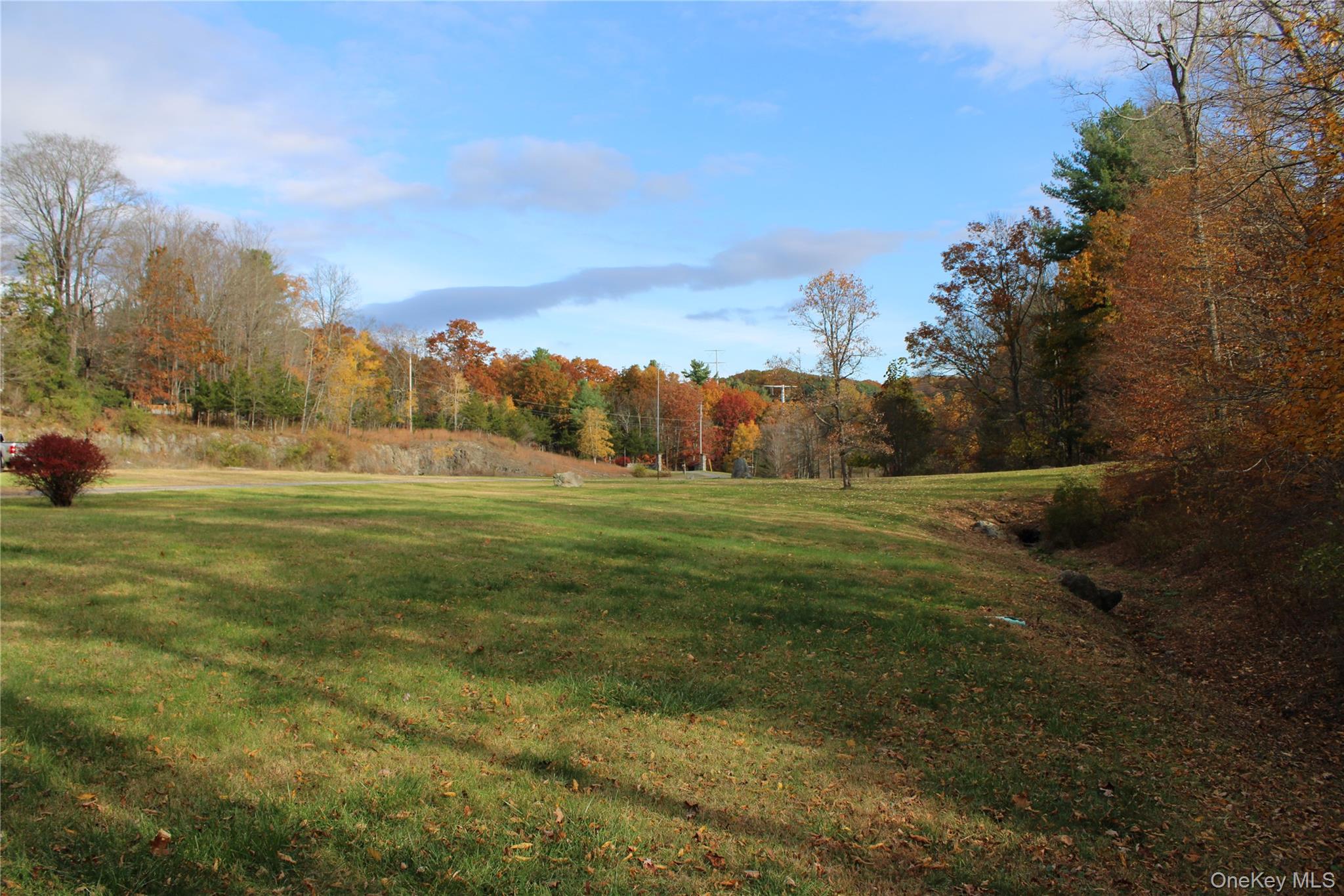 400 Round Lake Road Rhinebeck, NY 12572 - Photo 18 of 34 View of grassy yard featuring a wooded view
