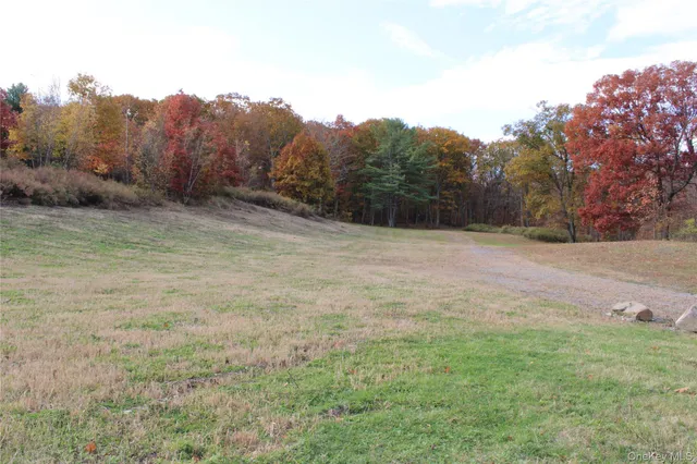 a view of a field with trees in the background